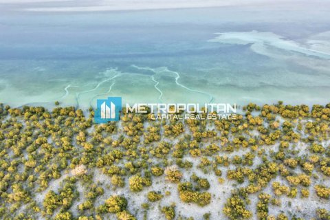 阿联酋 Abu Dhabi 待租 : 4 卧, 314.1 平方米 , 编号651957 - 照片 13