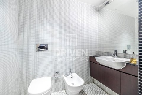 阿联酋 Dubai DIFC 待租 : 2 卧, 150 平方米 , 编号684112 - 照片 20