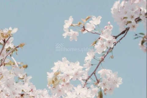 Apartmán v Falcon City of Wonders, Dubai, SAE 1 spálňa, 76 m2 č. 700790 - Fotografia 2