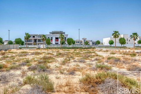 Land te koop in Al Khawaneej, Dubai, VAE 900.97 vr.m., nr 747386 - foto 7