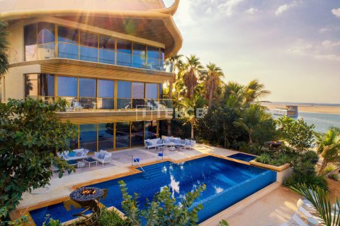 The World Islands, Dubai, संयुक्त अरब अमीरात में विला, 7 बेडरूम, 2600 वर्ग मीटर, संख्या 634292 - फ़ोटो 3