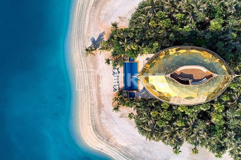 The World Islands, Dubai, संयुक्त अरब अमीरात में विला, 7 बेडरूम, 2600 वर्ग मीटर, संख्या 634292 - फ़ोटो 12