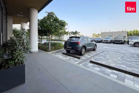 阿联酋 Dubai 待租 : 81 平方米 , 编号652096 - 照片 11