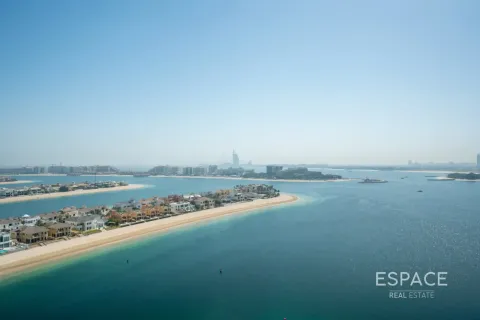آپارتمان برای اجاره در Palm Jumeirah، Dubai، امارات متحده عربی 3 خوابه ، 222 متر مربع ، شماره 738326 - تصویر 18
