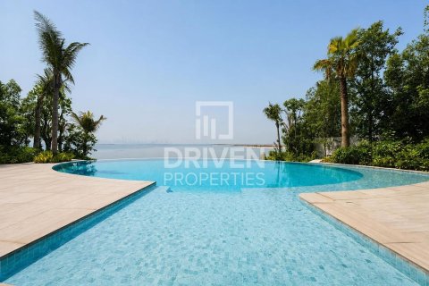 Villa til leie i The World Islands, Dubai, Emiratene 2255.04 kvm Nr. 745394 - Foto 3