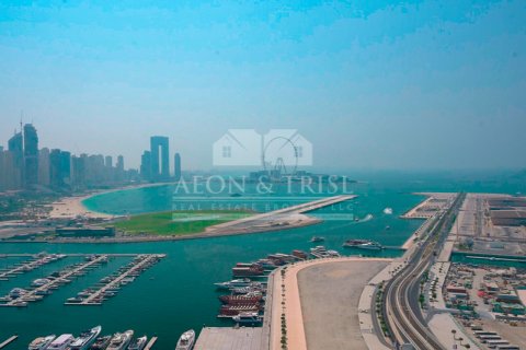 阿联酋 Dubai Dubai Harbour 待售 : 4 卧, 252 平方米 , 编号648448 - 照片 4