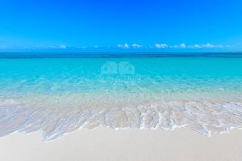 Wohnung zum Verkauf in Dubai Harbour, Dubai, VAE 2 Schlafzimmer, 129 m2 Nr. 648450 - Foto 4