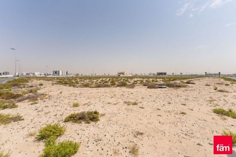 Tanah di Jebel Ali, Dubai, UEA 944.6 m2 nomor 640336 - foto 4