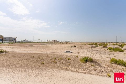 Tanah di Jebel Ali, Dubai, UEA 944.6 m2 nomor 640336 - foto 10