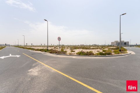 Tanah di Jebel Ali, Dubai, UEA 944.6 m2 nomor 640336 - foto 8