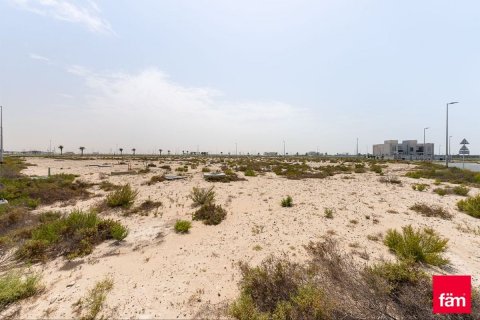 Tanah di Jebel Ali, Dubai, UEA 944.6 m2 nomor 640336 - foto 9