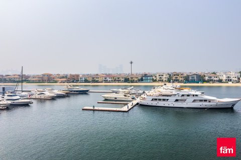 شقة للإيجار في نخلة جميرا، دبي، الإمارات العربية المتحدة 2 غرفة نوم ، 155.8 متر مربع ، رقم 719918 - صورة 30
