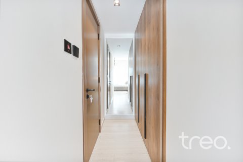Vila v Arabian Ranches, Dubai, SAE 4 ložnice, 250.84 m² Č.: 733152 - fotografie 14