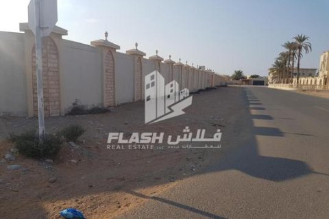 Land te koop in Al Dhait, Ras Al Khaimah, VAE 3902 vr.m., nr 656903 - foto 13