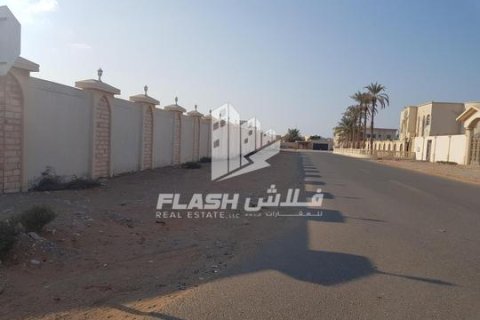 Land te koop in Al Dhait, Ras Al Khaimah, VAE 3902 vr.m., nr 656903 - foto 18