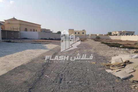 Land te koop in Al Dhait, Ras Al Khaimah, VAE 3902 vr.m., nr 656903 - foto 9