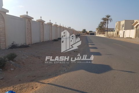 Land te koop in Al Dhait, Ras Al Khaimah, VAE 3902 vr.m., nr 656903 - foto 14