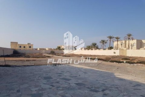 Land te koop in Al Dhait, Ras Al Khaimah, VAE 3902 vr.m., nr 656903 - foto 4