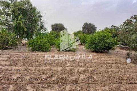 Zemljište u Ras Al Khaimah, UAE 18581 m2 Br. 656902 - fotografija 12