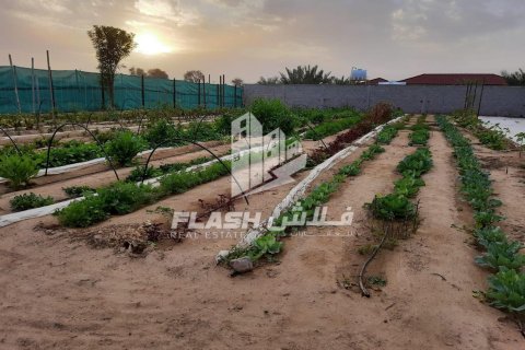 Zemljište u Ras Al Khaimah, UAE 18581 m2 Br. 656902 - fotografija 10