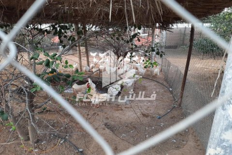 Zemljište u Ras Al Khaimah, UAE 18581 m2 Br. 656902 - fotografija 4