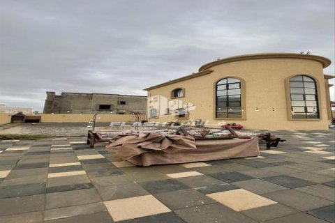 Villa til salg i Al Riffa, Ras Al Khaimah, UAE 3 soveværelser, 929 kvm № 656905 - foto 11