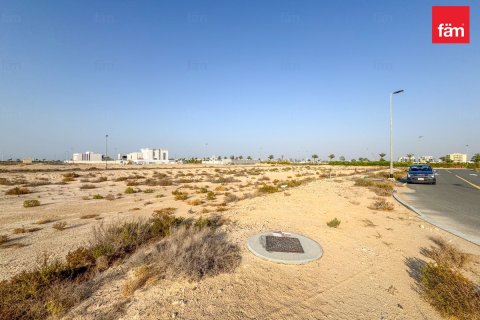 Jebel Ali, Dubai, UAE의 판매용 토지 1195.8제곱미터 번호 678967 - 사진 3