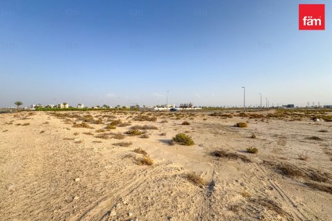 Jebel Ali, Dubai, UAE의 판매용 토지 1195.8제곱미터 번호 678967 - 사진 7