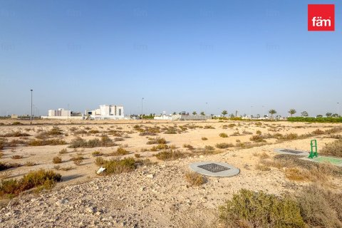 Jebel Ali, Dubai, UAE의 판매용 토지 1195.8제곱미터 번호 678967 - 사진 4